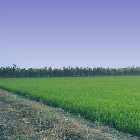 Green Village 1 Can Tho Bagian luar foto