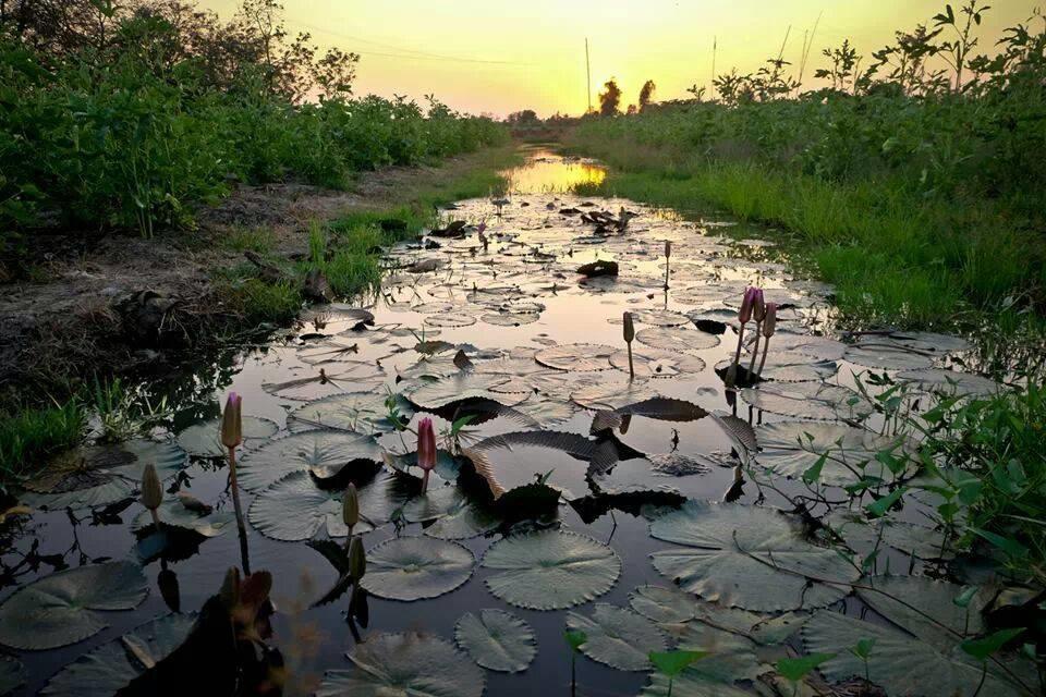 Green Village 1 Can Tho Bagian luar foto