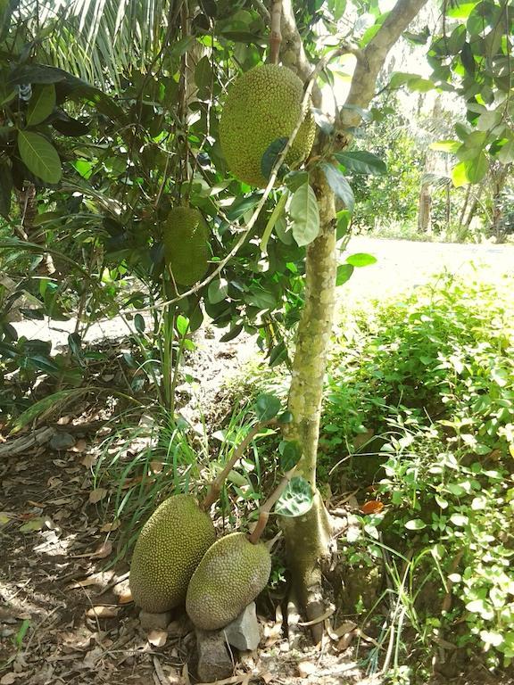 Green Village 1 Can Tho Bagian luar foto