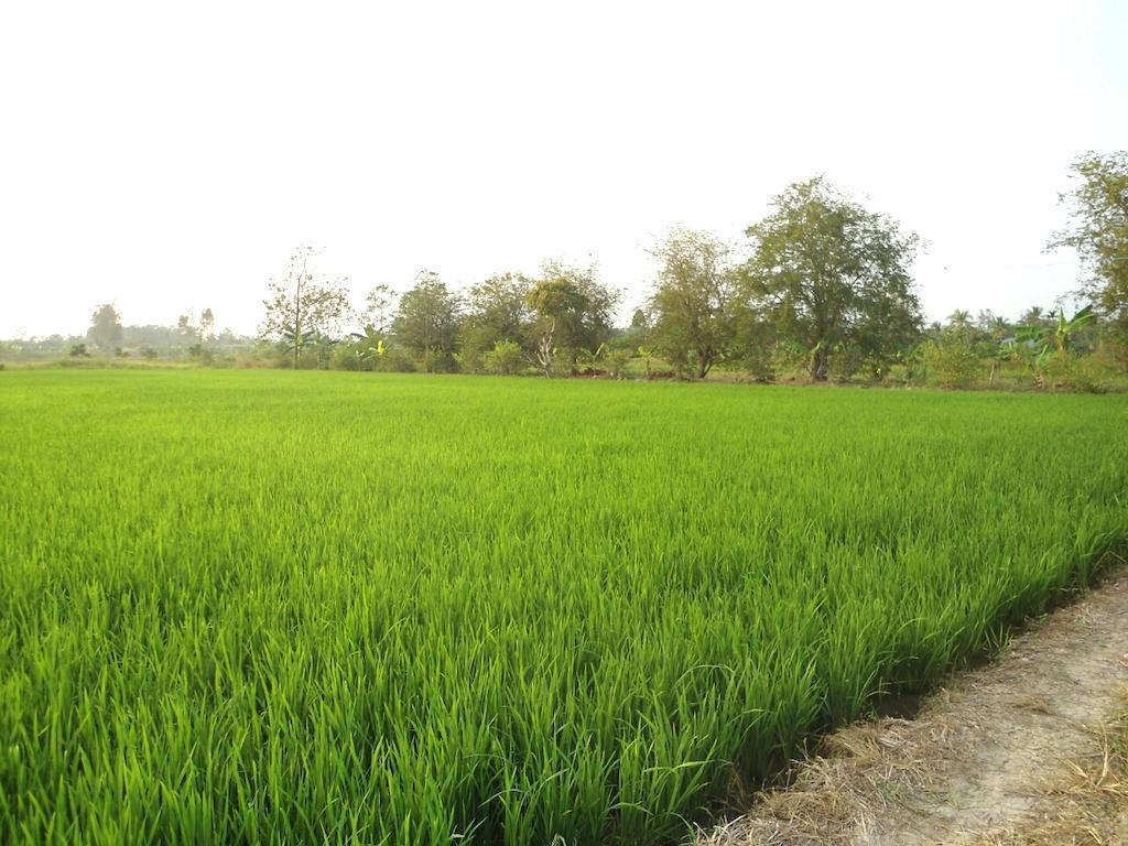 Green Village 1 Can Tho Bagian luar foto