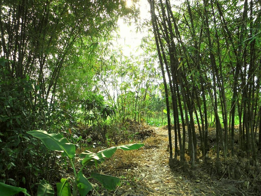 Green Village 1 Can Tho Bagian luar foto